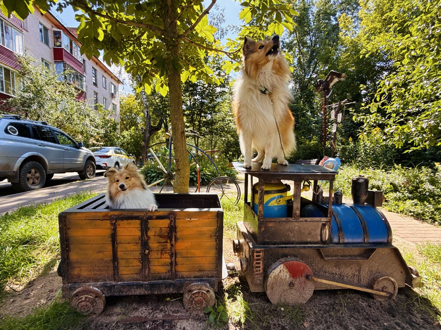 раменское, спасение утопающих, подвиги, озеро пионер,