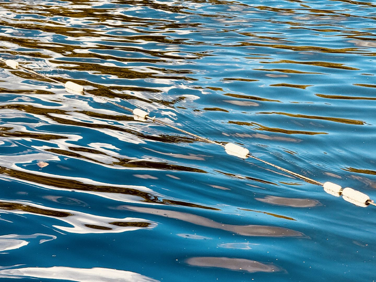 раменское, спасение утопающих, подвиги, озеро пионер,