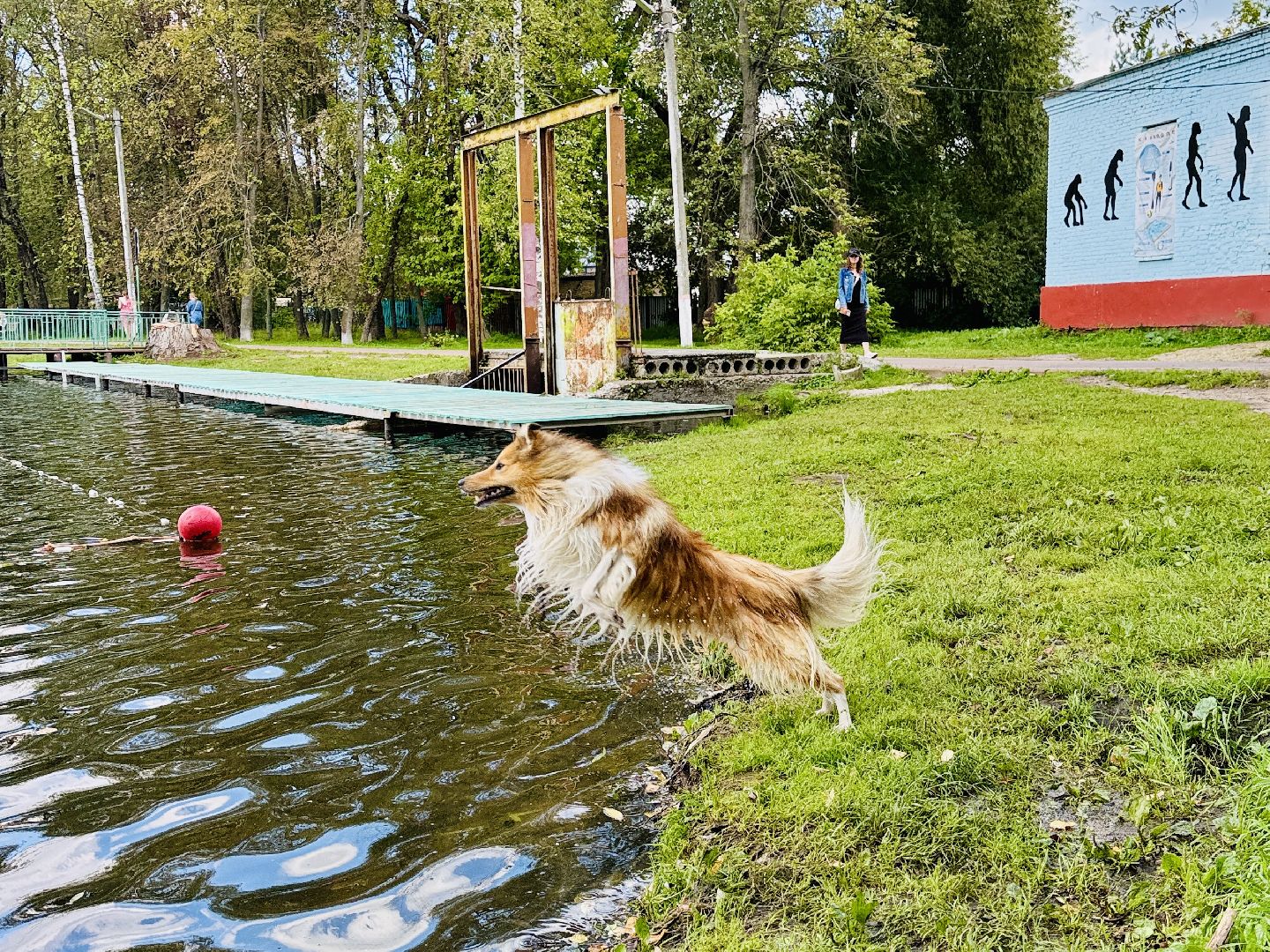 раменское, спасение утопающих, подвиги, озеро пионер,
