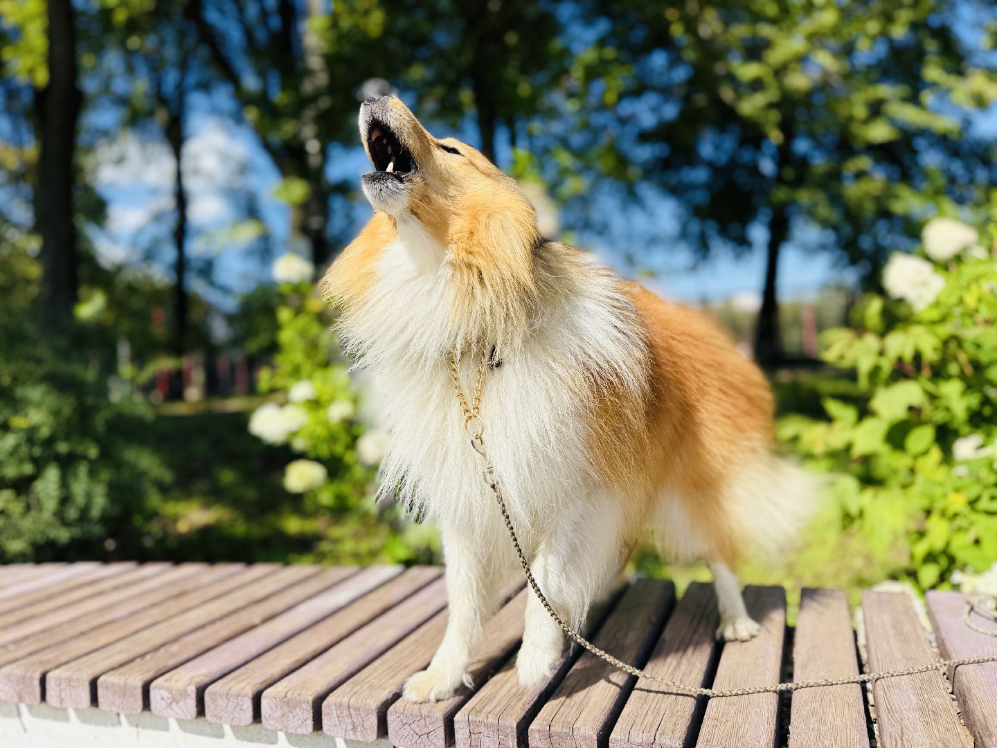 раменское, спасение утопающих, подвиги, озеро пионер,