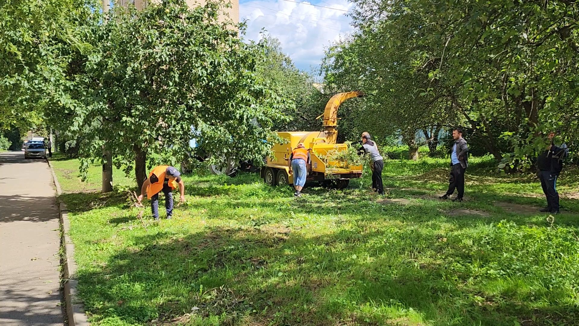 чехов, улица чехова, содержание двора, опиловка деревьев, измельчение веток, удаление аварийных деревьев, удаление сухостоя, уборка придомовой территории, заявки жителей, портал добродел, мбу чеховское благоустройство,