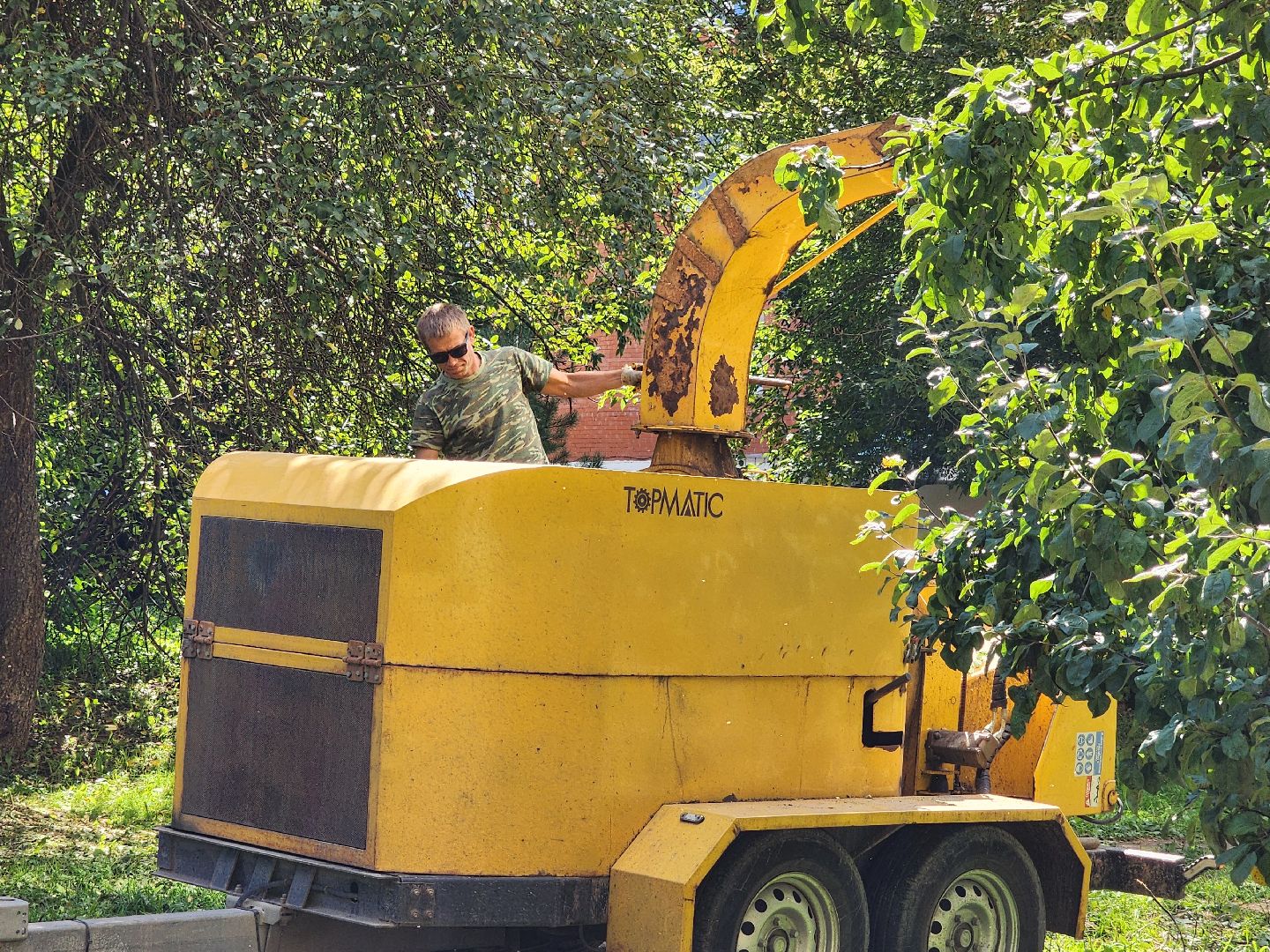 чехов, улица чехова, содержание двора, опиловка деревьев, измельчение веток, удаление аварийных деревьев, удаление сухостоя, уборка придомовой территории, заявки жителей, портал добродел, мбу чеховское благоустройство,