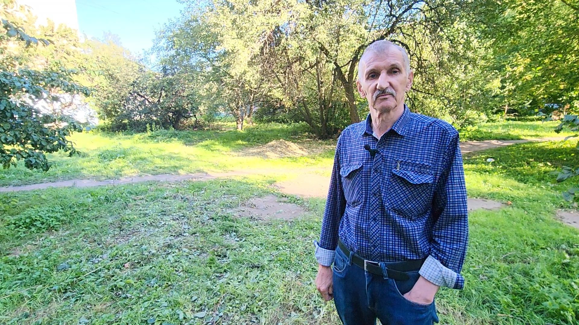 чехов, улица чехова, содержание двора, опиловка деревьев, измельчение веток, удаление аварийных деревьев, удаление сухостоя, уборка придомовой территории, заявки жителей, портал добродел, мбу чеховское благоустройство,