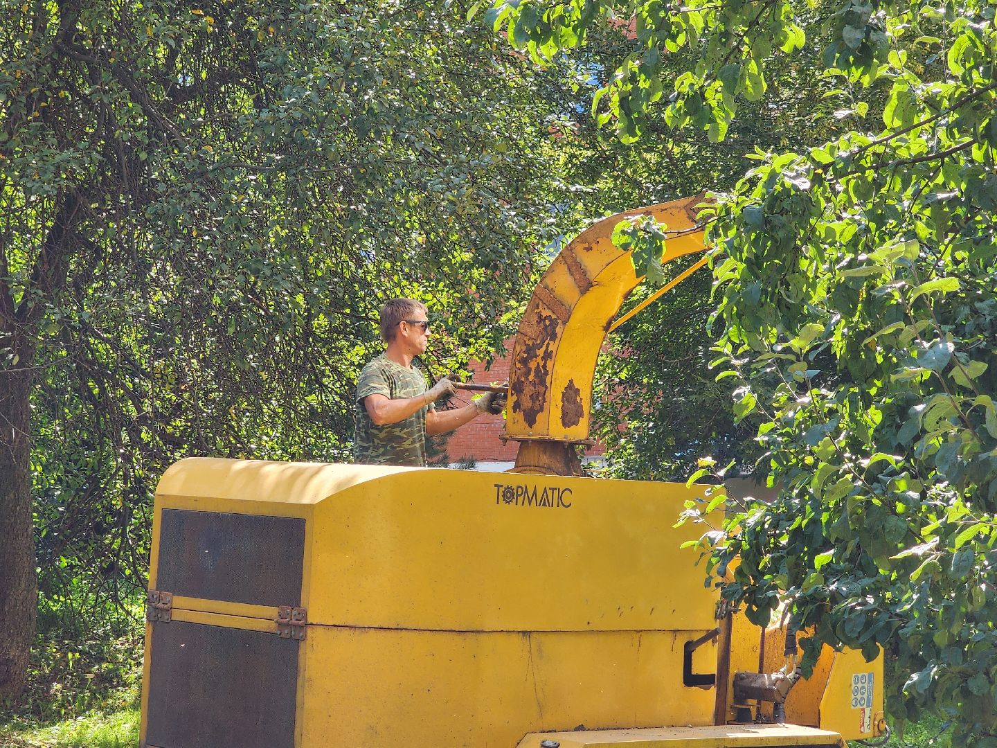 чехов, улица чехова, содержание двора, опиловка деревьев, измельчение веток, удаление аварийных деревьев, удаление сухостоя, уборка придомовой территории, заявки жителей, портал добродел, мбу чеховское благоустройство,