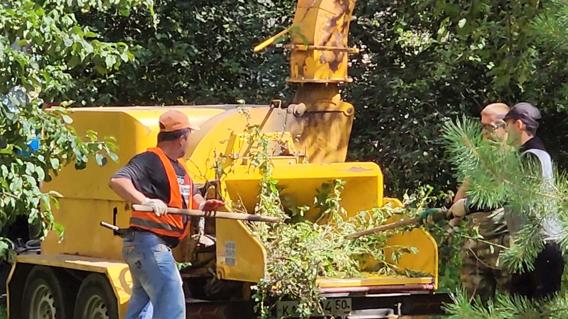 чехов, улица чехова, содержание двора, опиловка деревьев, измельчение веток, удаление аварийных деревьев, удаление сухостоя, уборка придомовой территории, заявки жителей, портал добродел, мбу чеховское благоустройство,