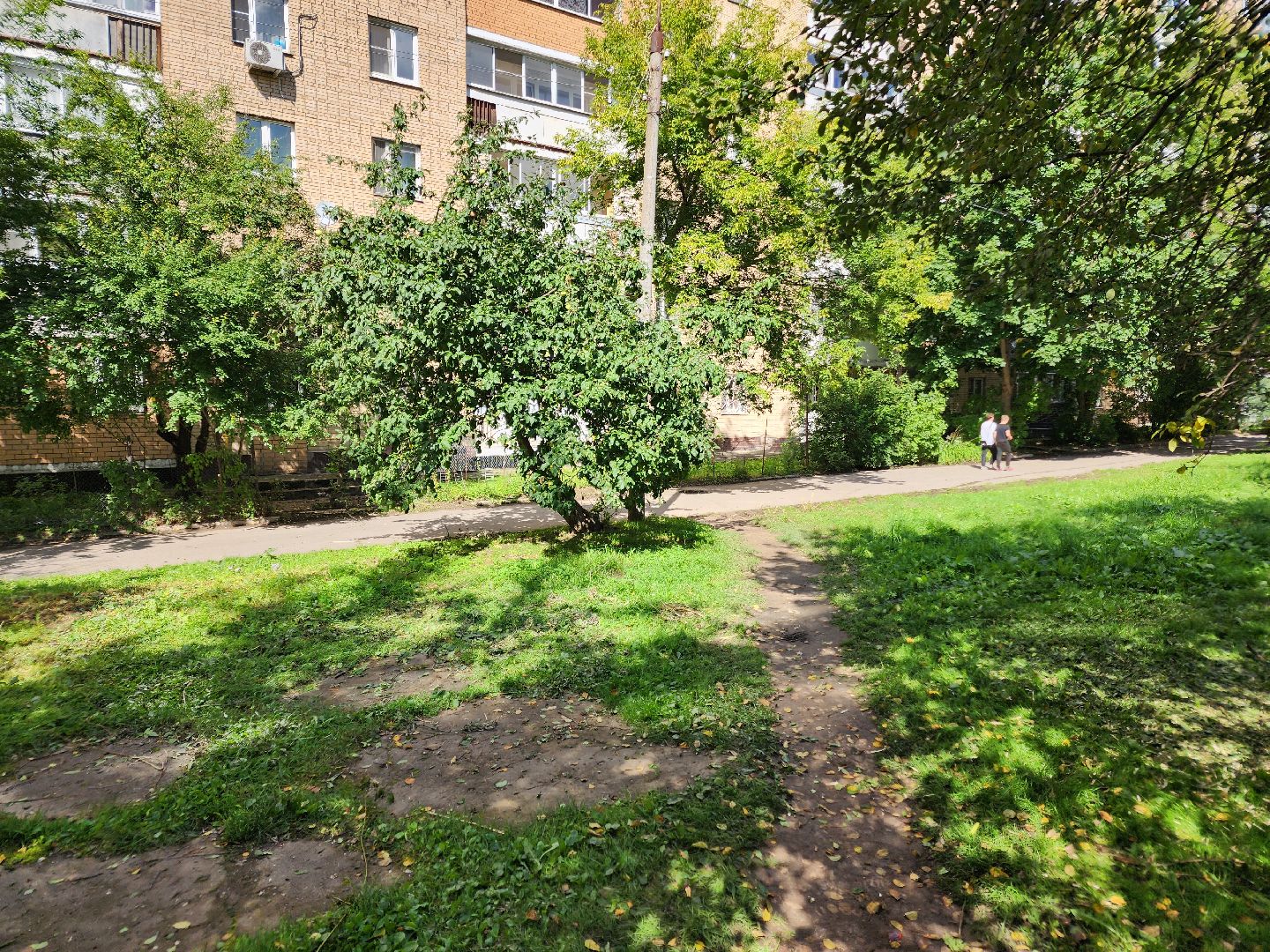 чехов, улица чехова, содержание двора, опиловка деревьев, измельчение веток, удаление аварийных деревьев, удаление сухостоя, уборка придомовой территории, заявки жителей, портал добродел, мбу чеховское благоустройство,