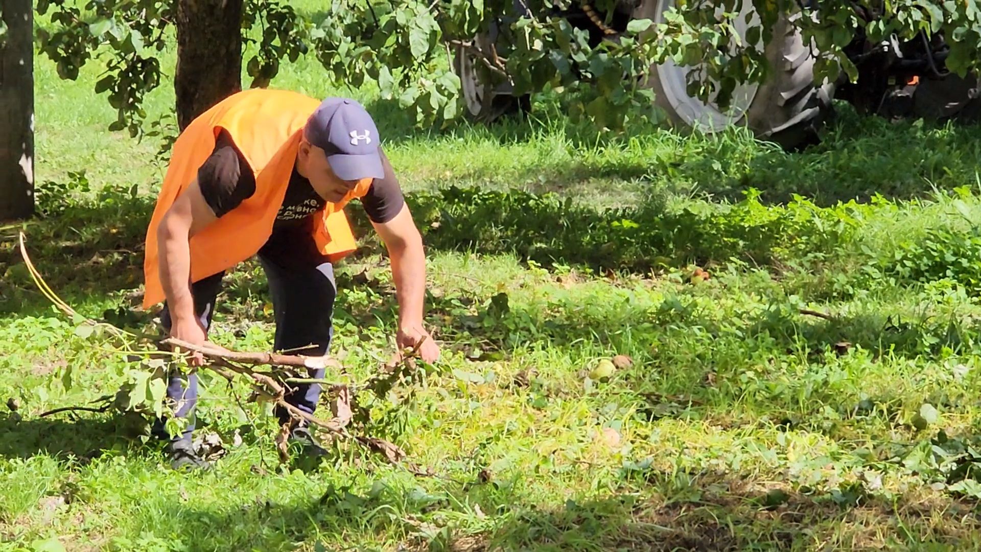 чехов, улица чехова, содержание двора, опиловка деревьев, измельчение веток, удаление аварийных деревьев, удаление сухостоя, уборка придомовой территории, заявки жителей, портал добродел, мбу чеховское благоустройство,