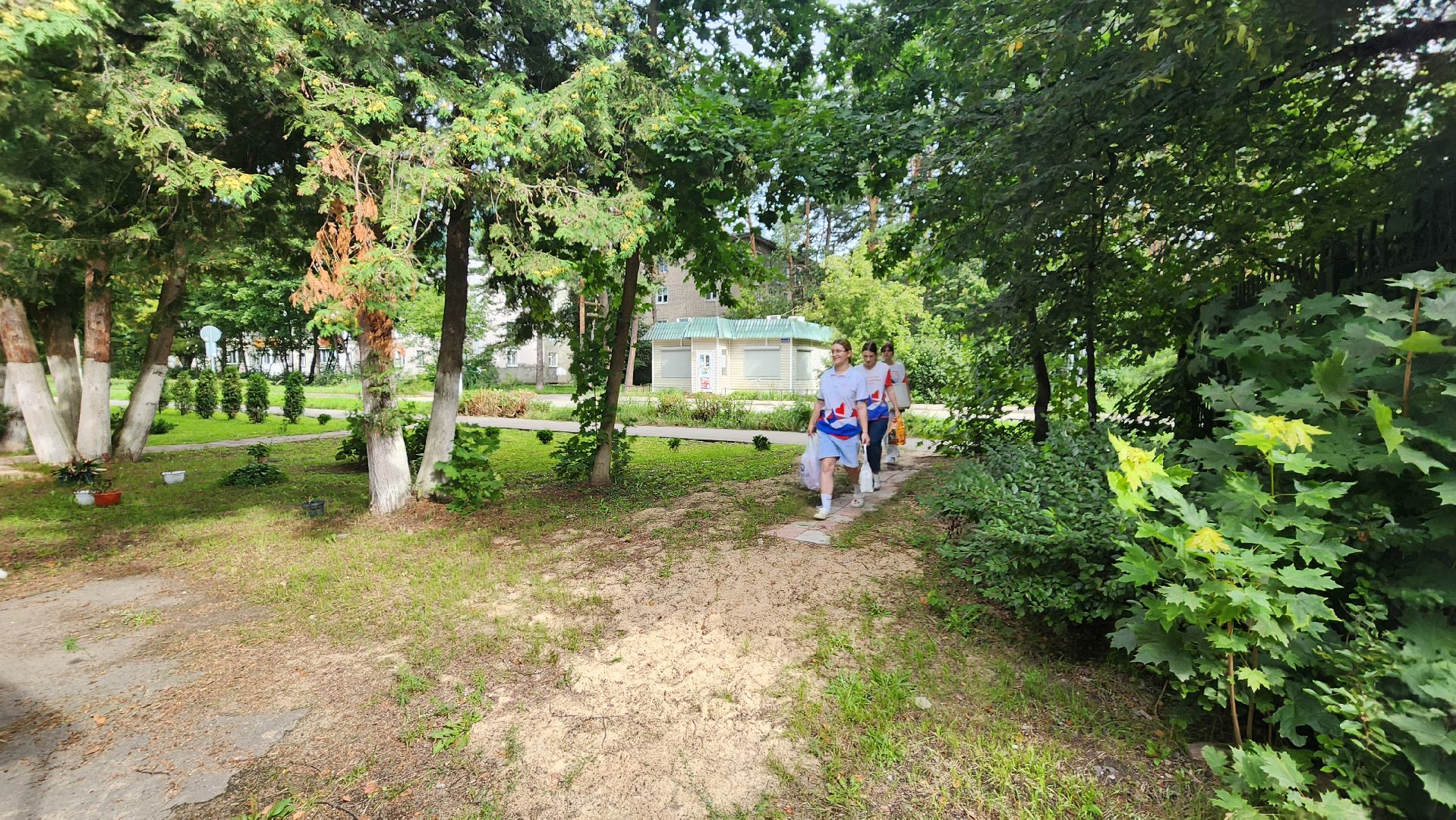 котобус, волонтеры, кошачий приют,