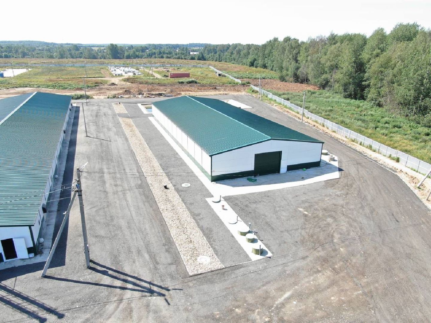 шаховская, репродуктор, птичники, куры, птицекомплекс,