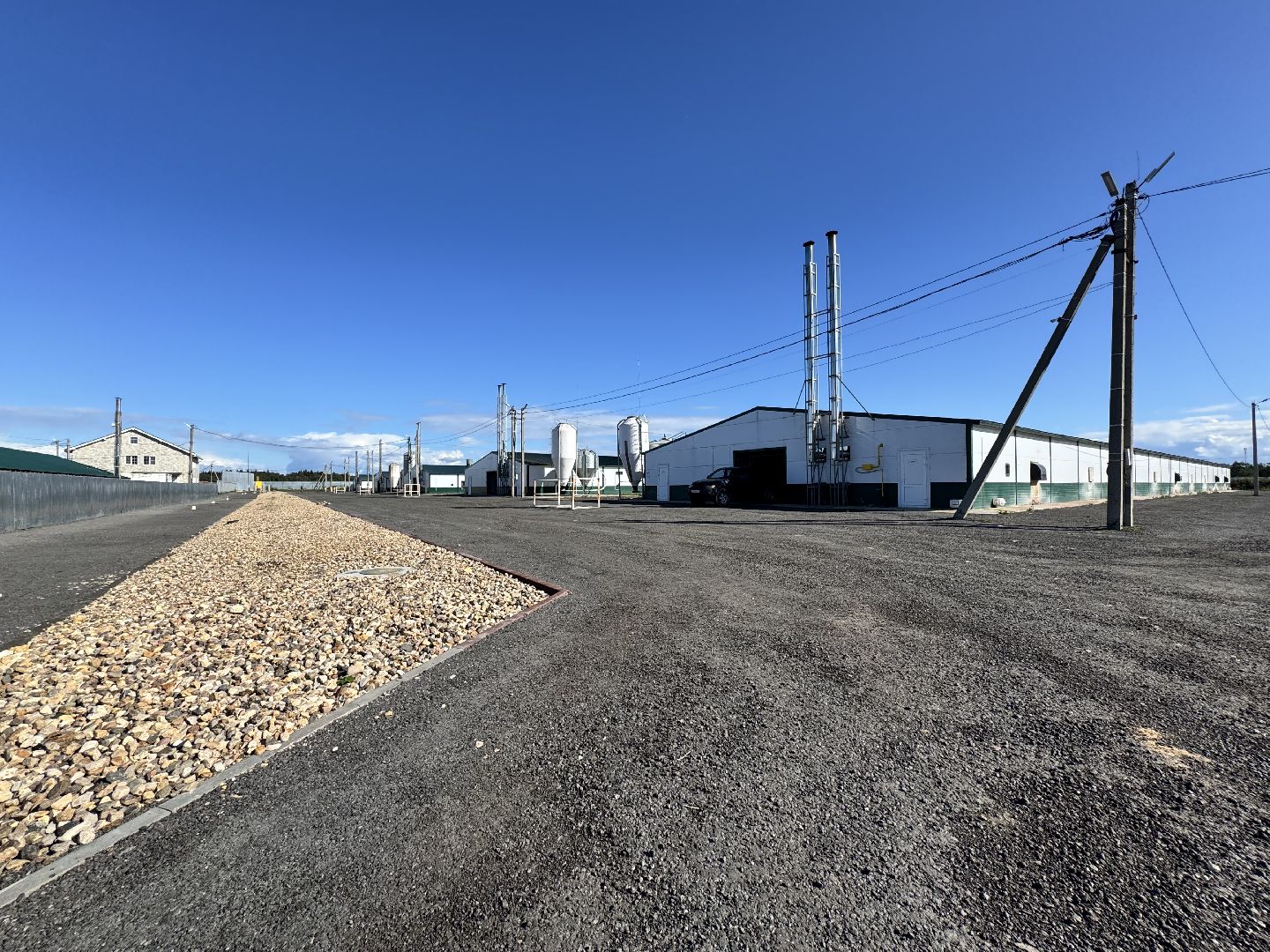 шаховская, репродуктор, птичники, куры, птицекомплекс,