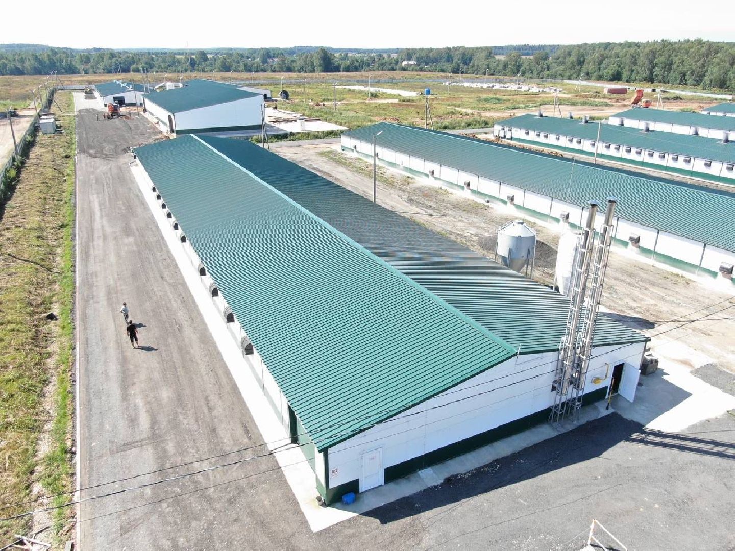 шаховская, репродуктор, птичники, куры, птицекомплекс,