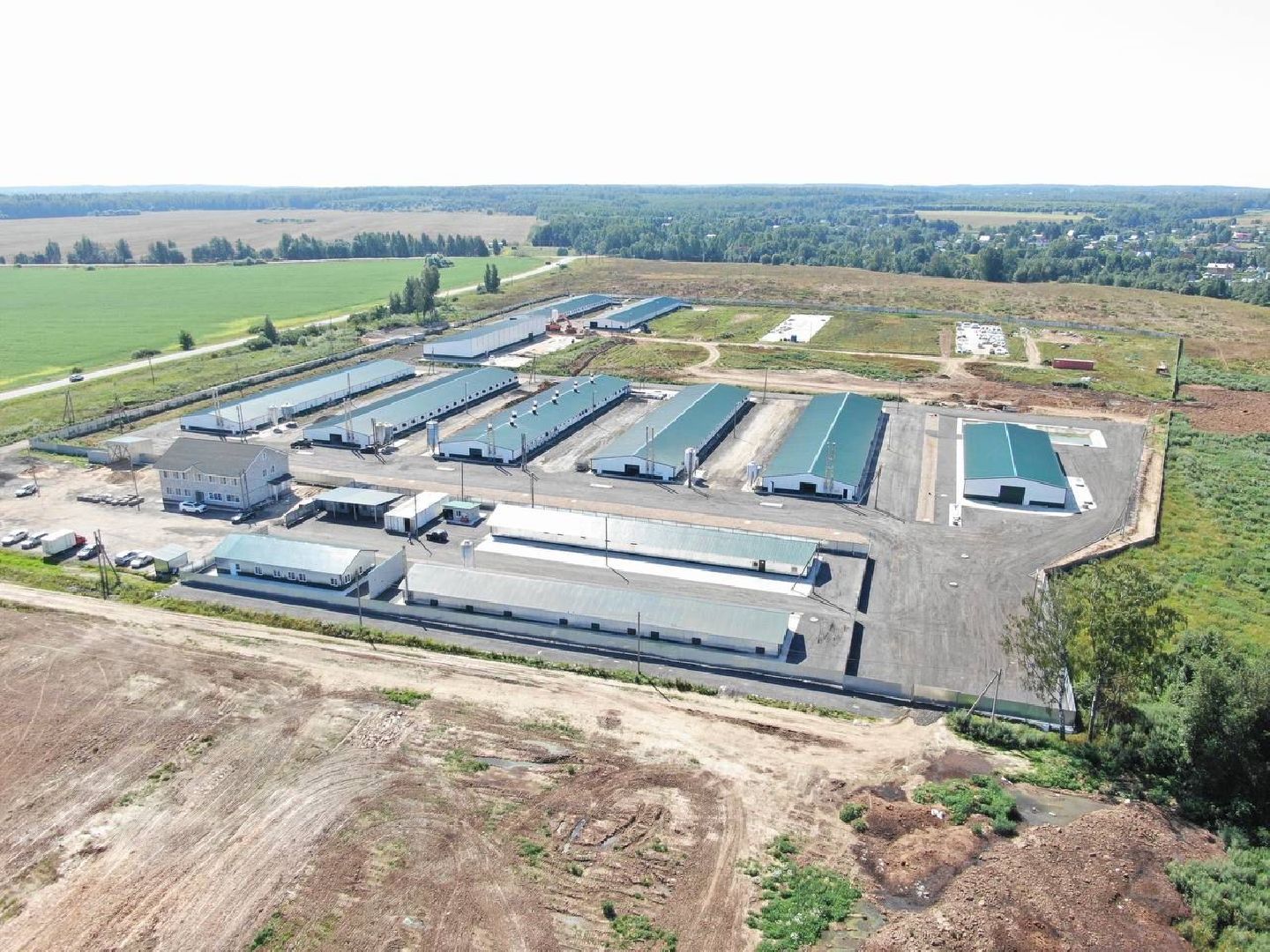 шаховская, репродуктор, птичники, куры, птицекомплекс,