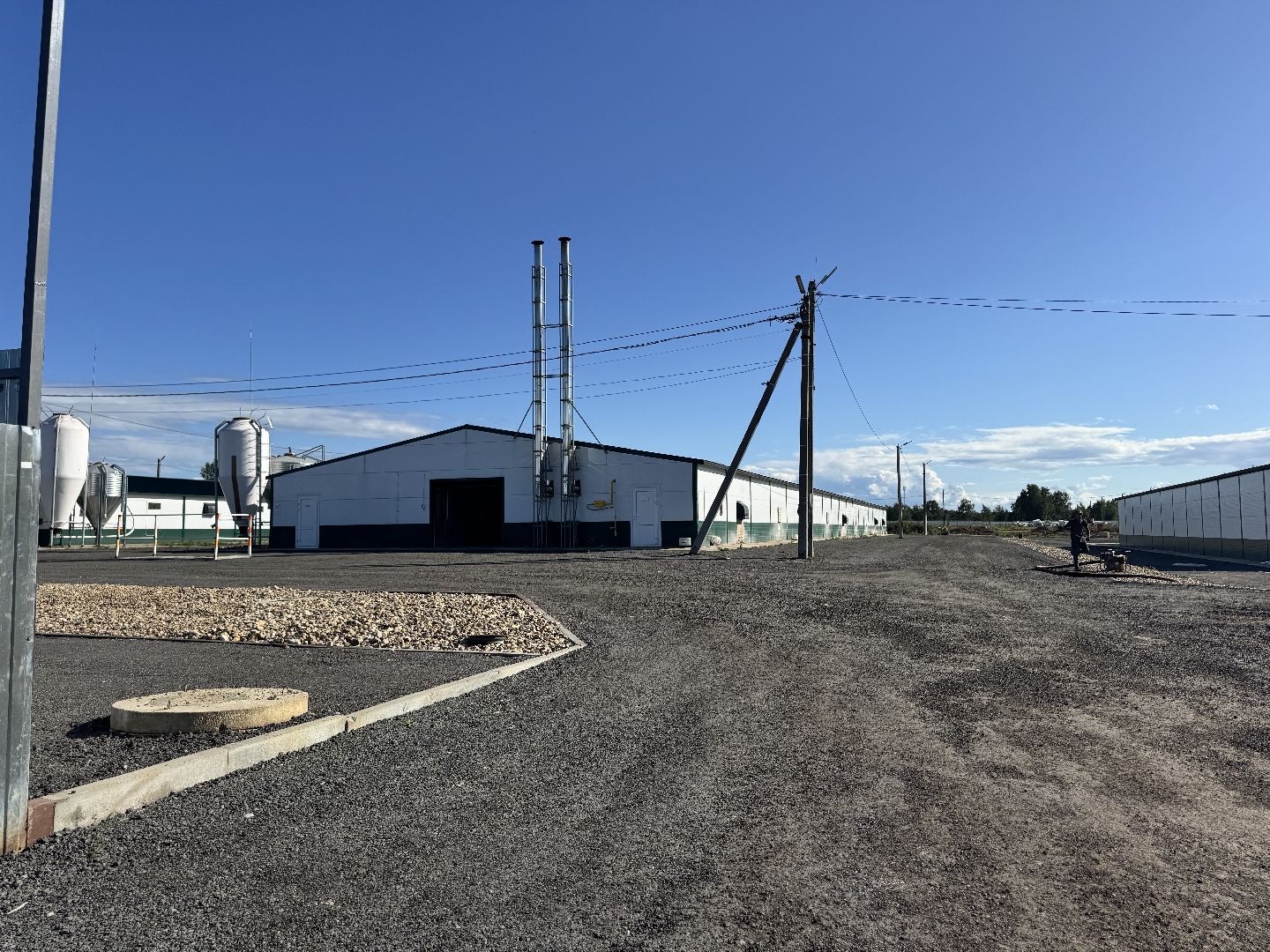 шаховская, репродуктор, птичники, куры, птицекомплекс,