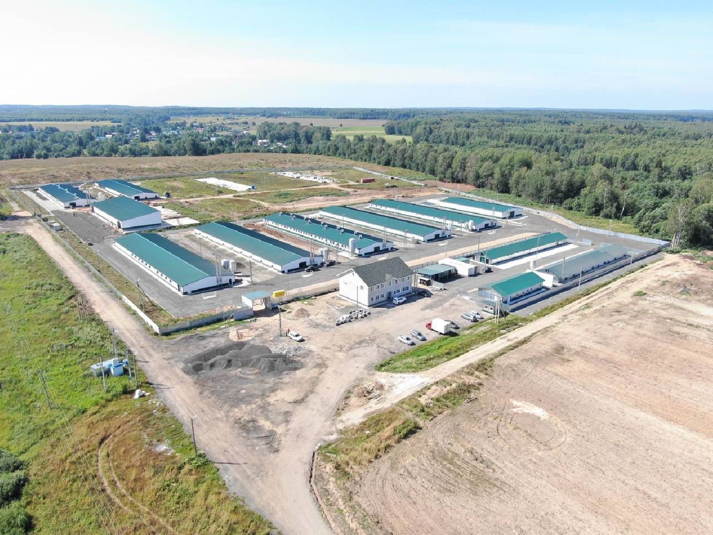 шаховская, репродуктор, птичники, куры, птицекомплекс,