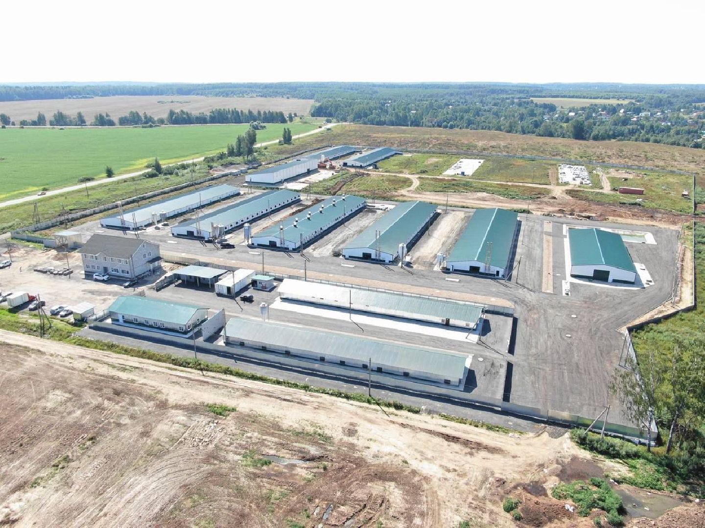 шаховская, репродуктор, птичники, куры, птицекомплекс,