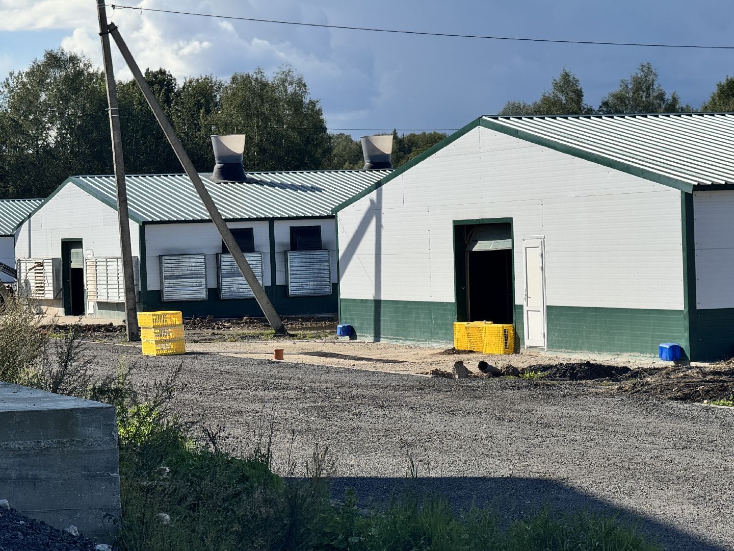 шаховская, репродуктор, птичники, куры, птицекомплекс,