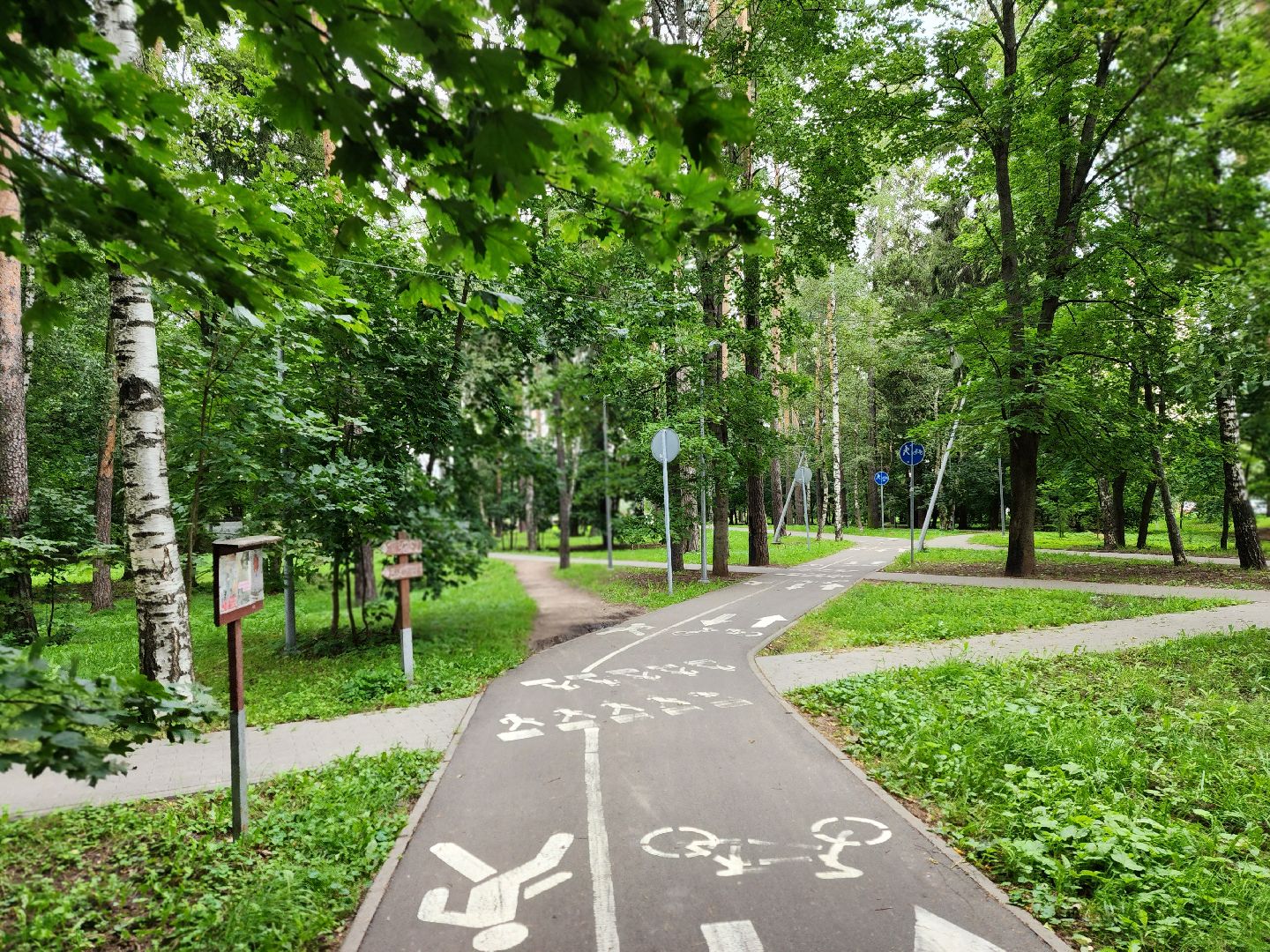 королёв, благоустройство , горзеленхозстрой,