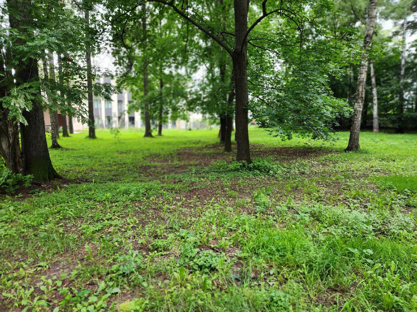 королёв, благоустройство , горзеленхозстрой,