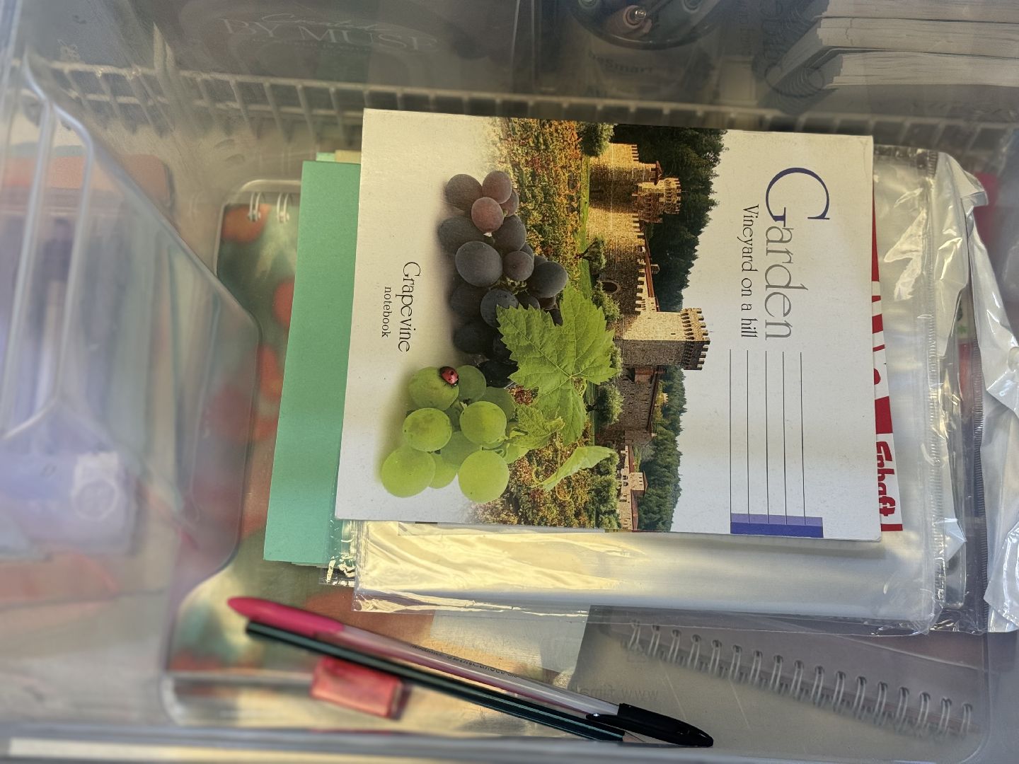 акция собери ребенка в школу , благотворительность , ленинский городской округ, единая россия,