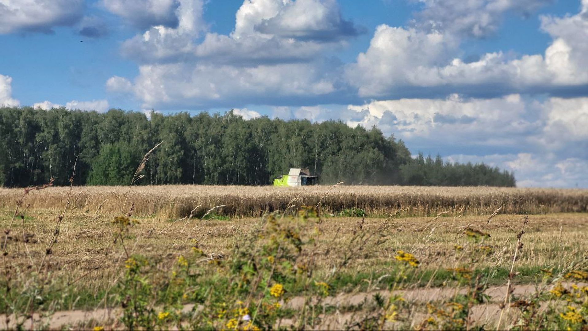луховицы, сельское хозяйство,