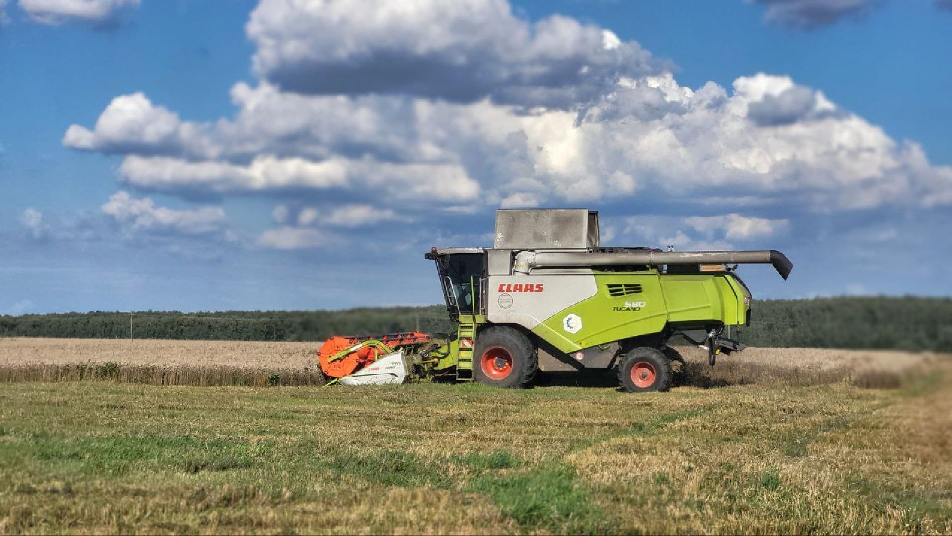 луховицы, сельское хозяйство,