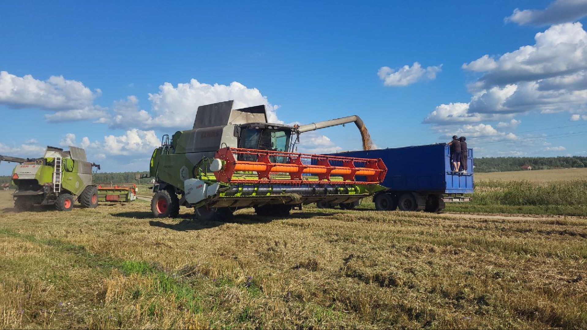 луховицы, сельское хозяйство,