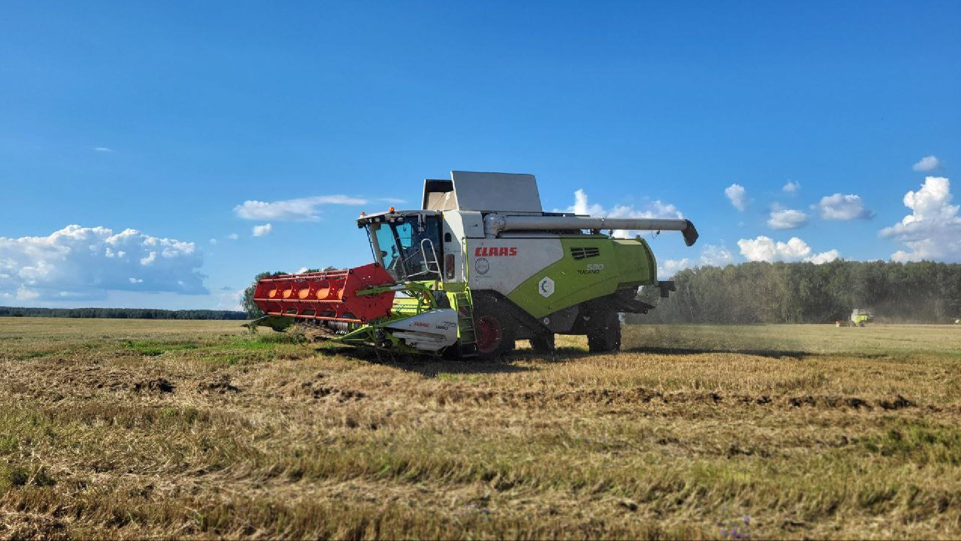 луховицы, сельское хозяйство,