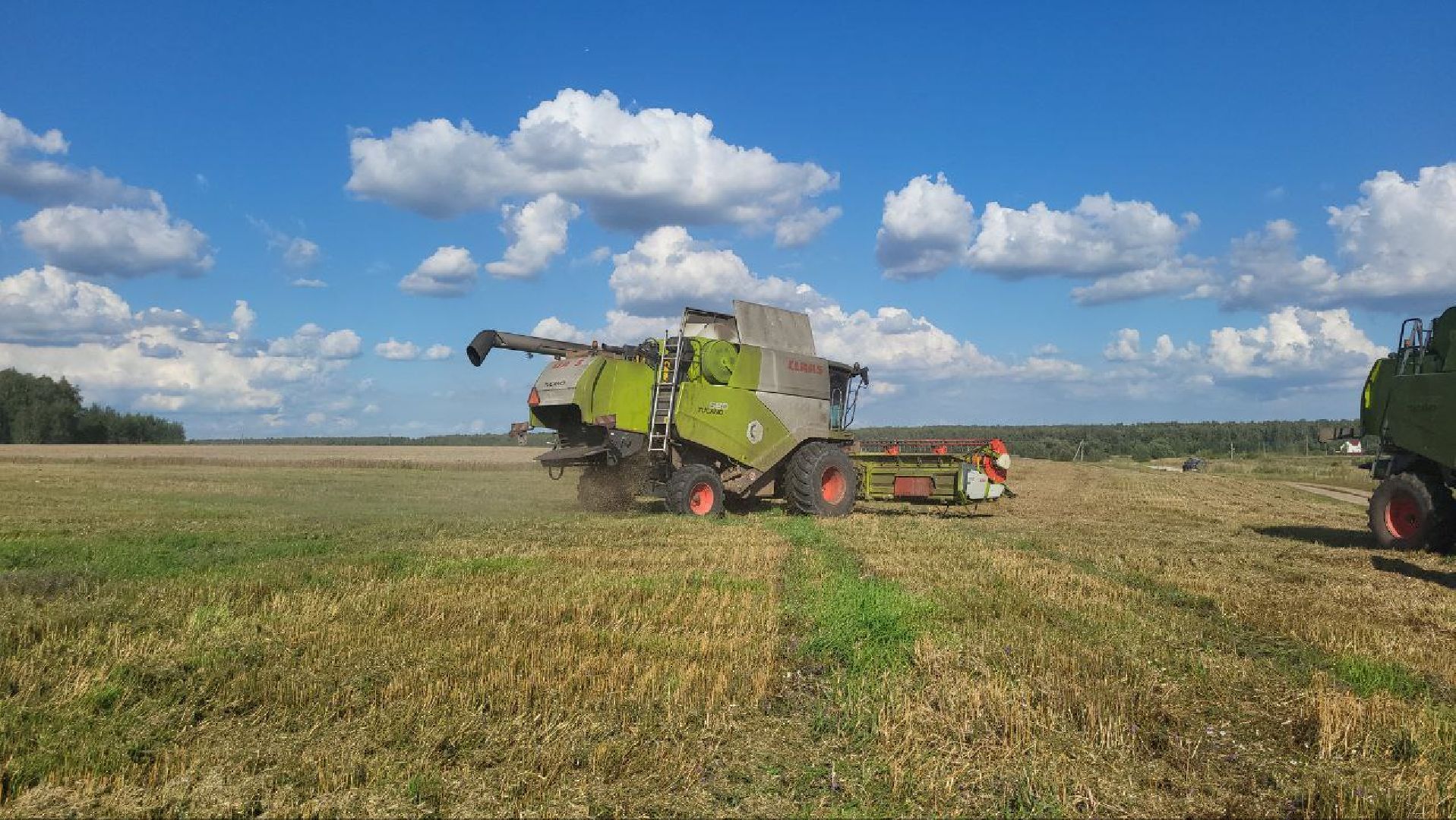 луховицы, сельское хозяйство,