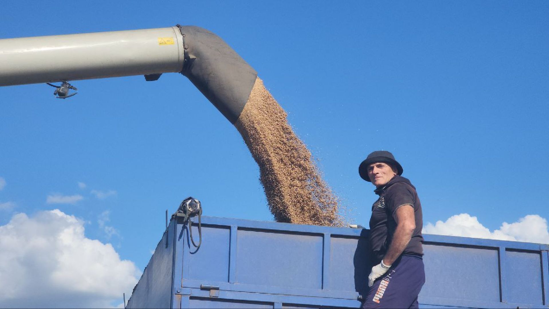 луховицы, сельское хозяйство,