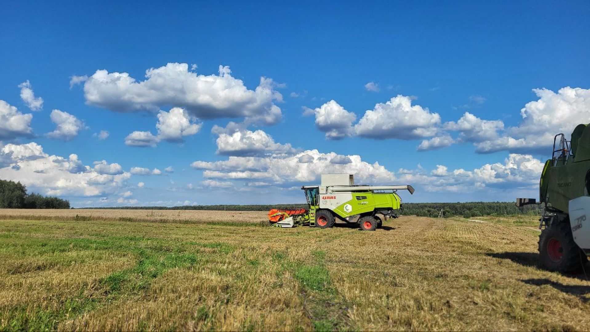 луховицы, сельское хозяйство,