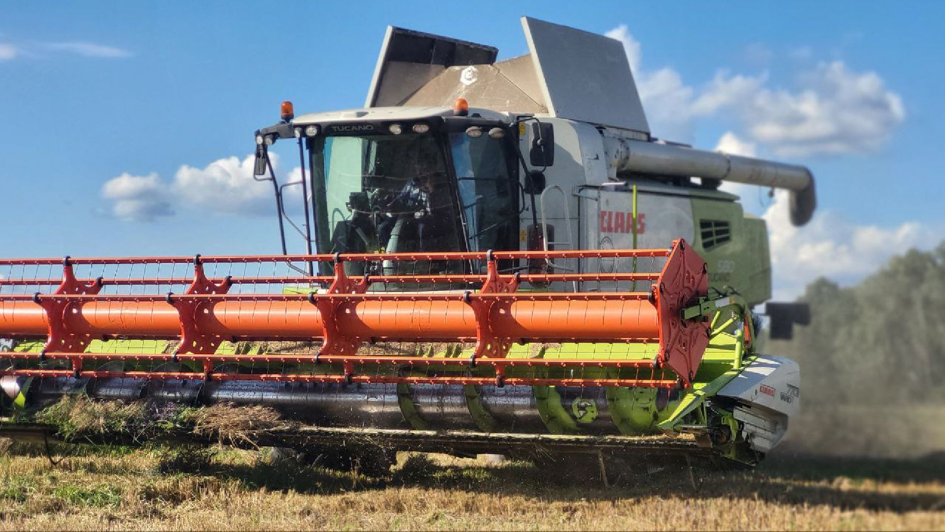 луховицы, сельское хозяйство,