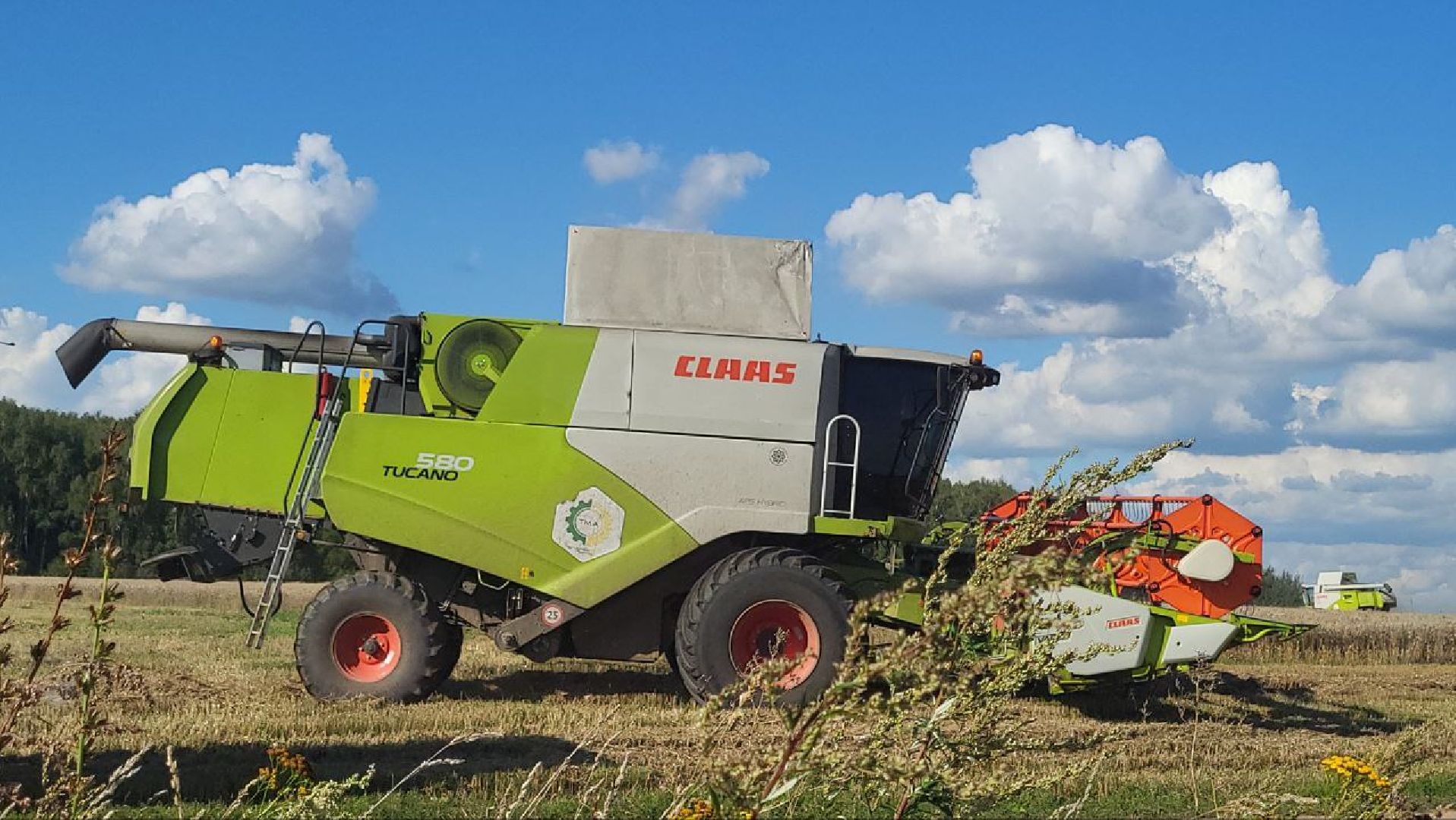 луховицы, сельское хозяйство,