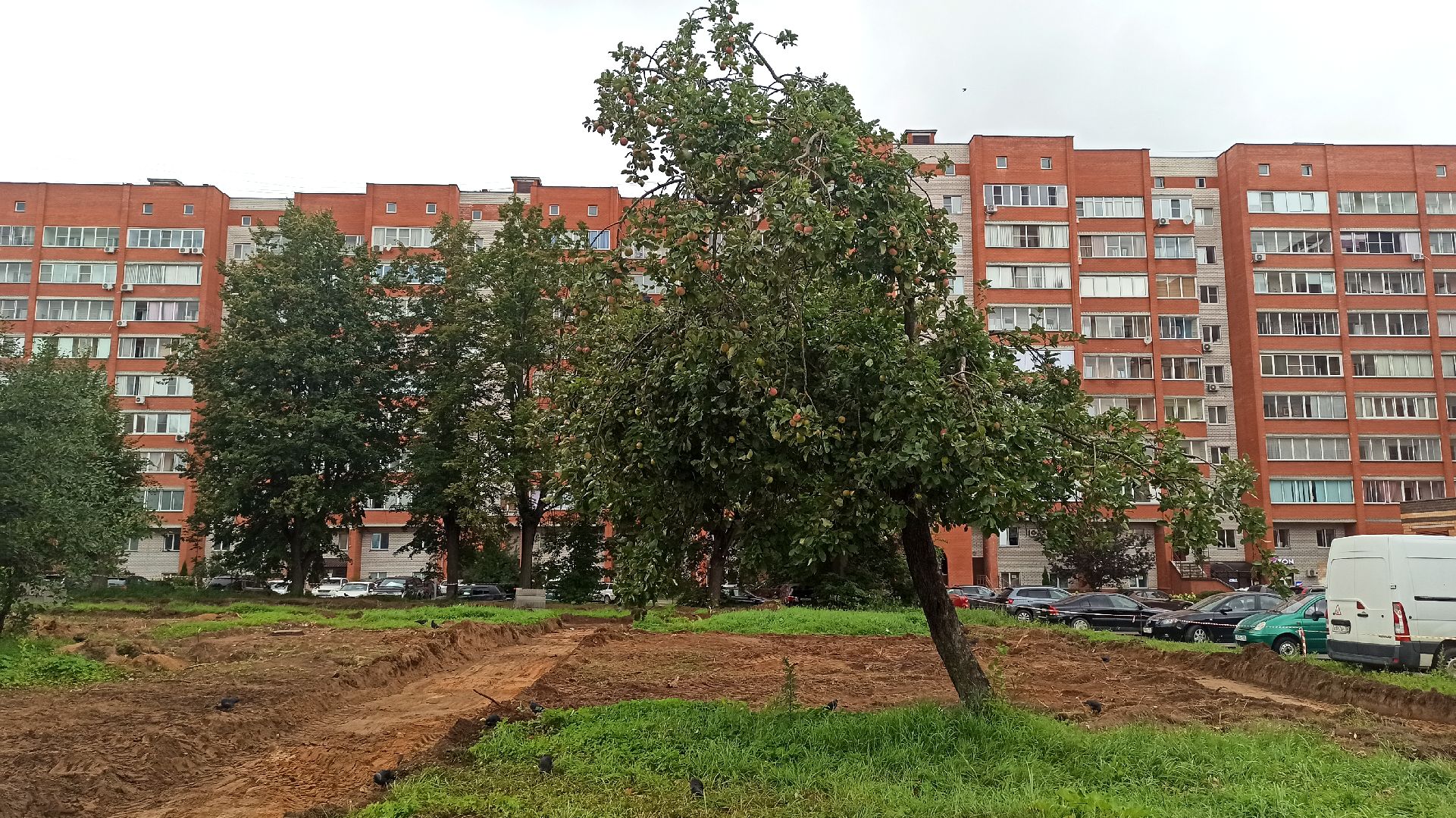 дубна, благоустройство, сквер,