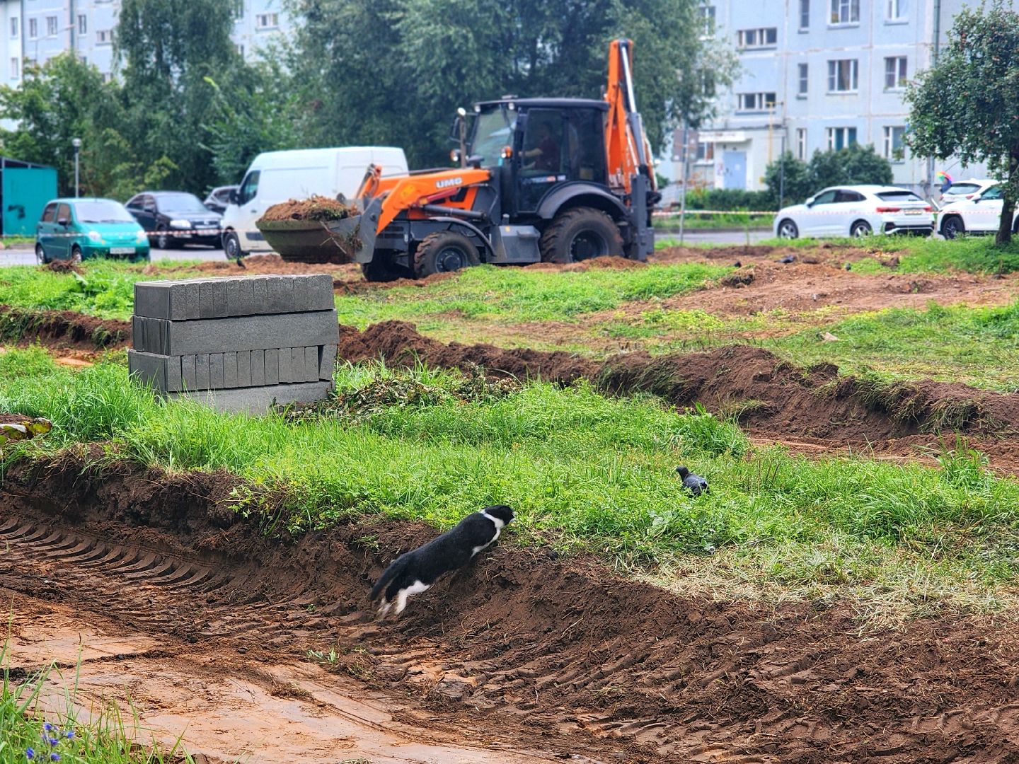 дубна, благоустройство, сквер,