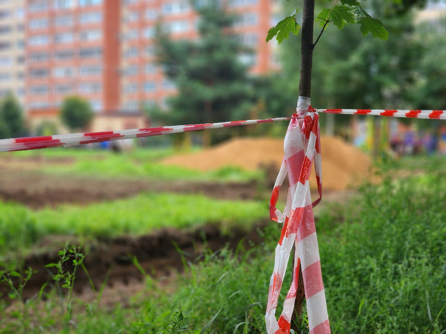 дубна, благоустройство, сквер,