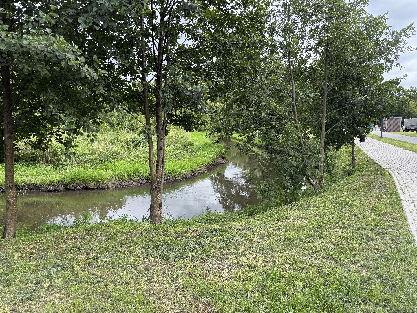 люберцы, марусино, парк, дети, открытие, праздник,