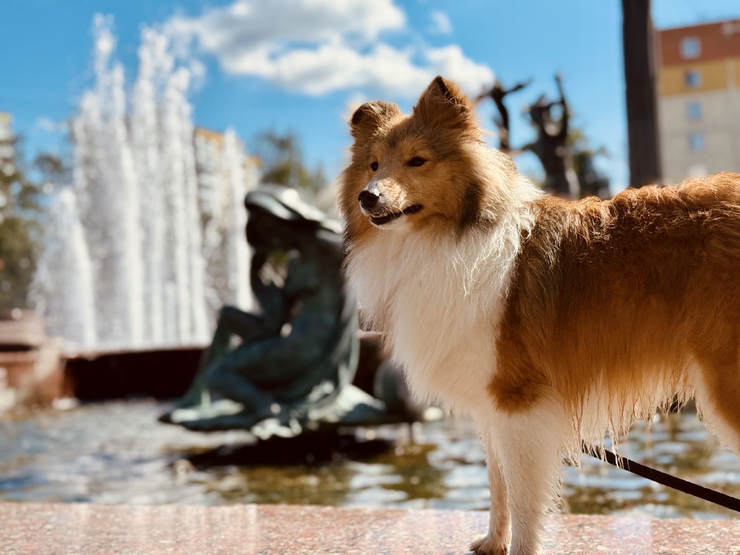 раменское, фонтан, Благоустройство, фонтан времена года на площади молодежи,