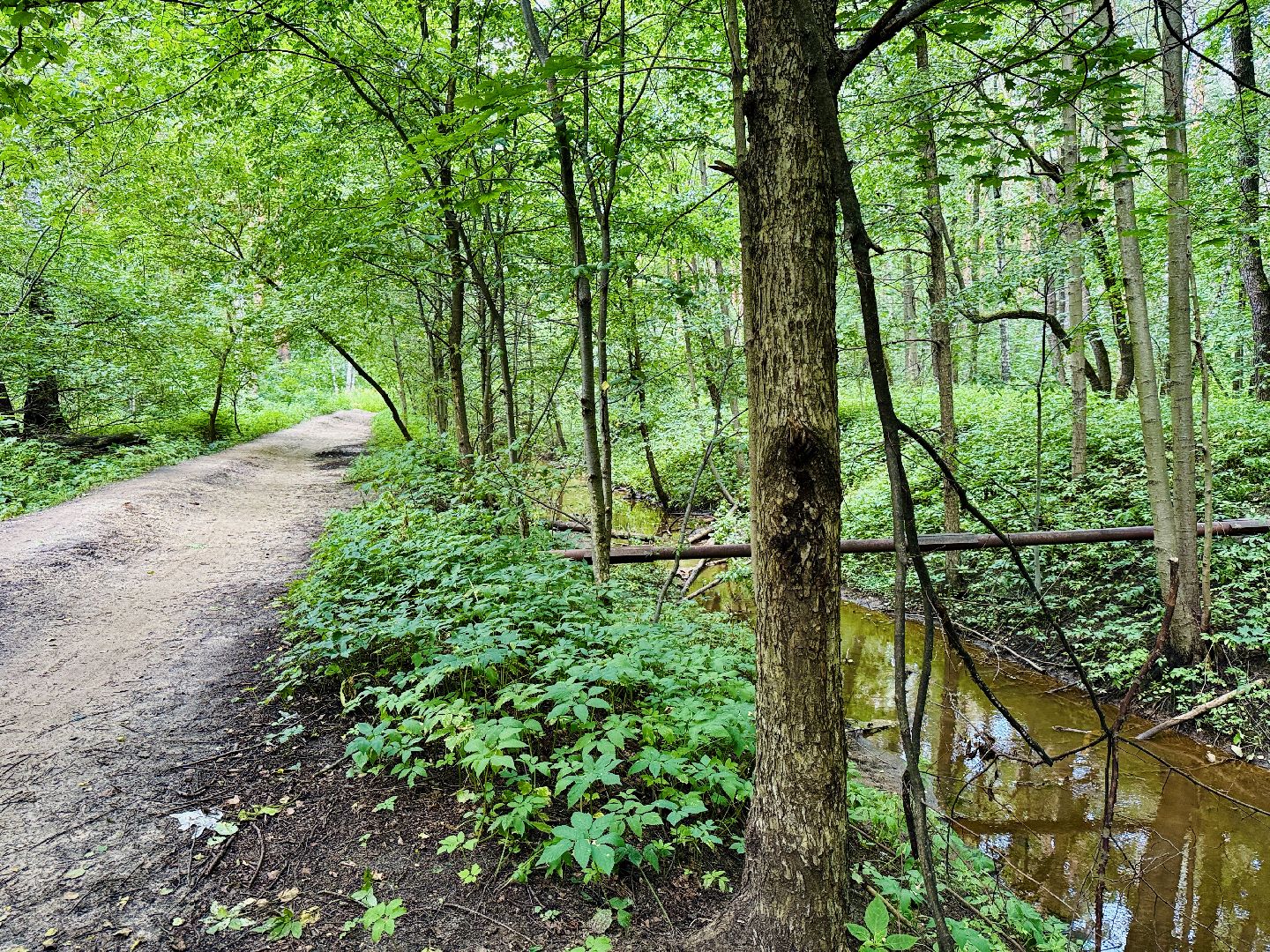 раменское, раменский парк, Усадьба Раменское, объект культурного наследия, Восьмидорожье, Зверинец,