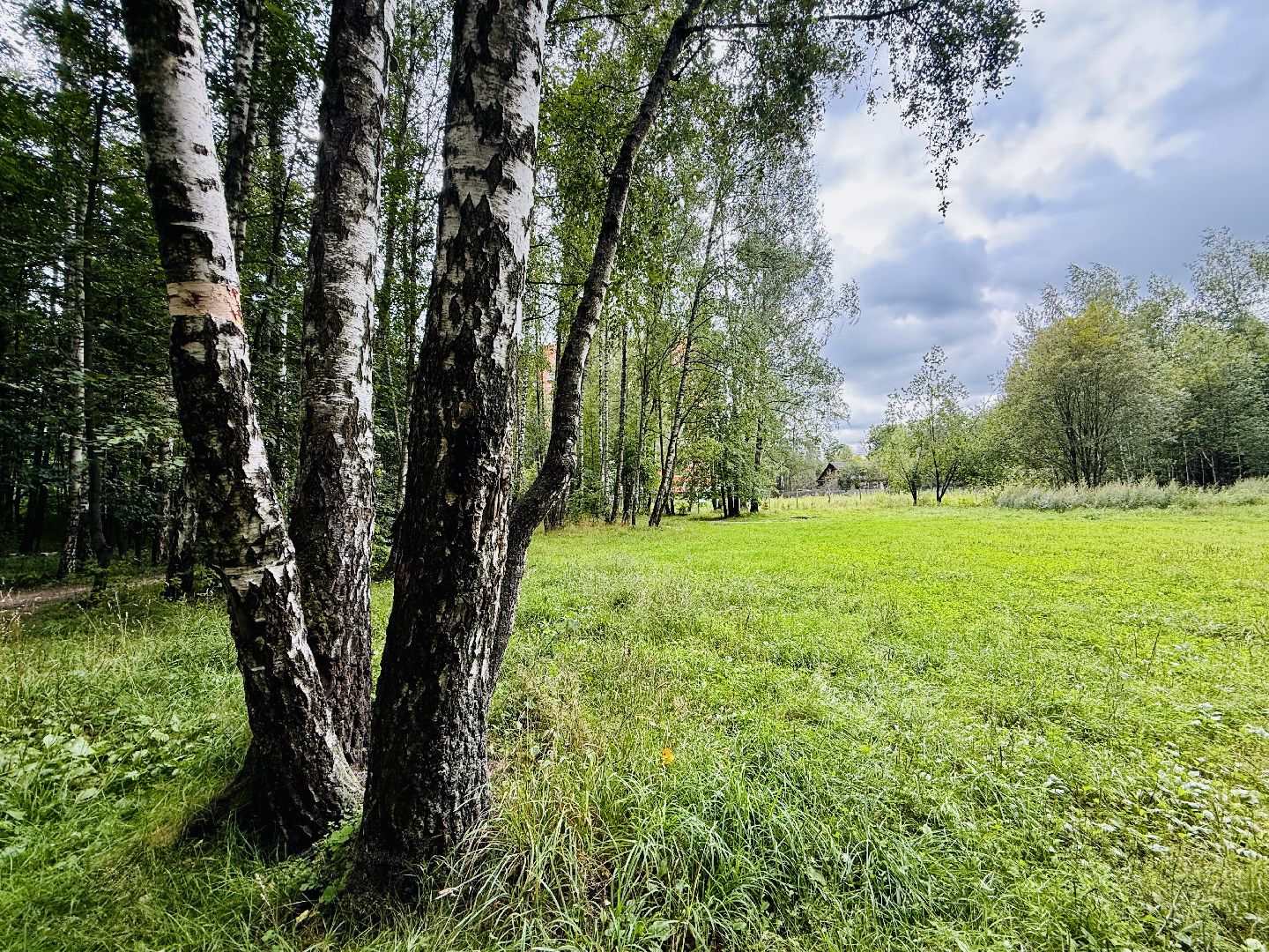 раменское, раменский парк, Усадьба Раменское, объект культурного наследия, Восьмидорожье, Зверинец,