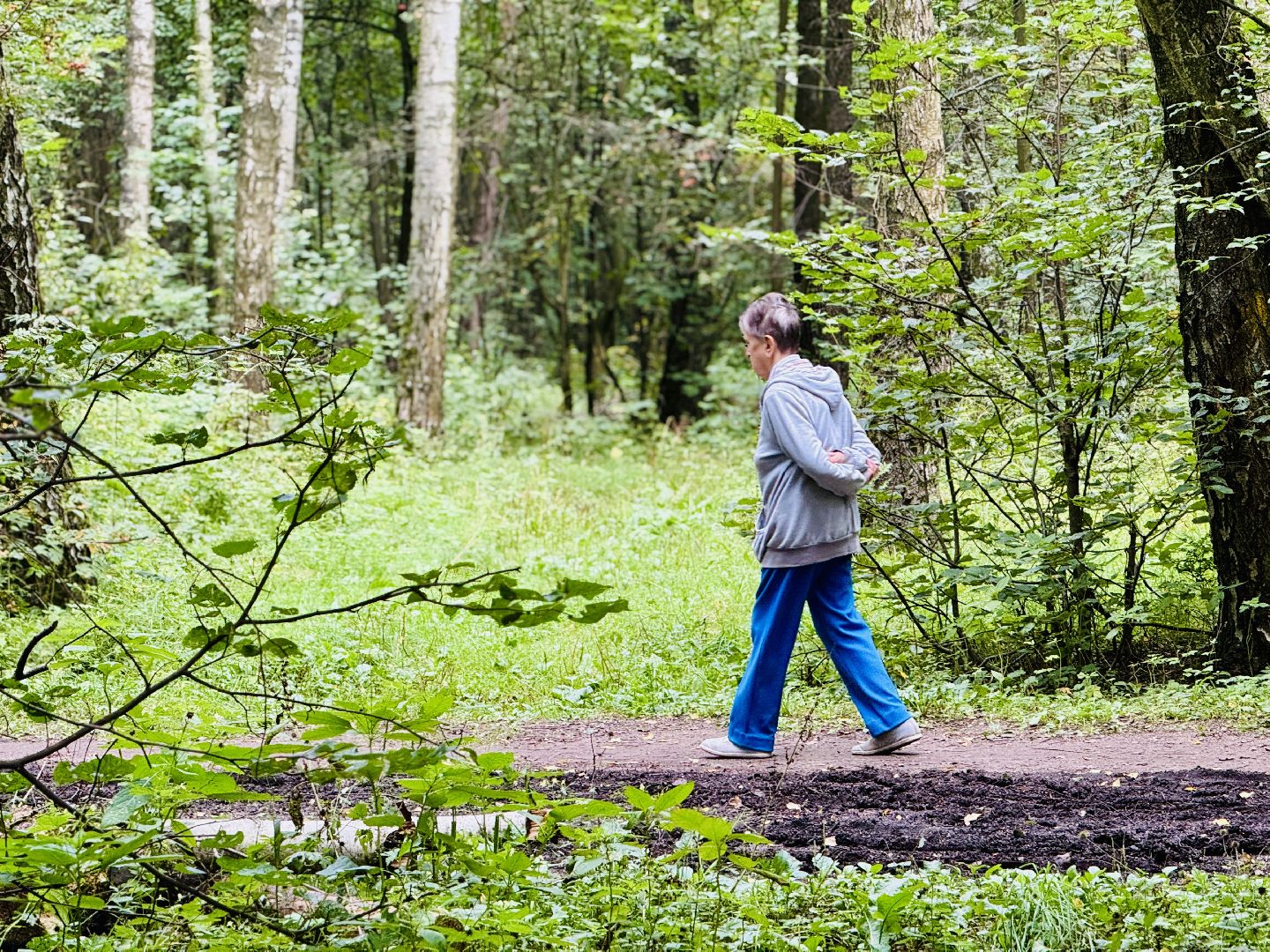 раменское, раменский парк, Усадьба Раменское, объект культурного наследия, Восьмидорожье, Зверинец,