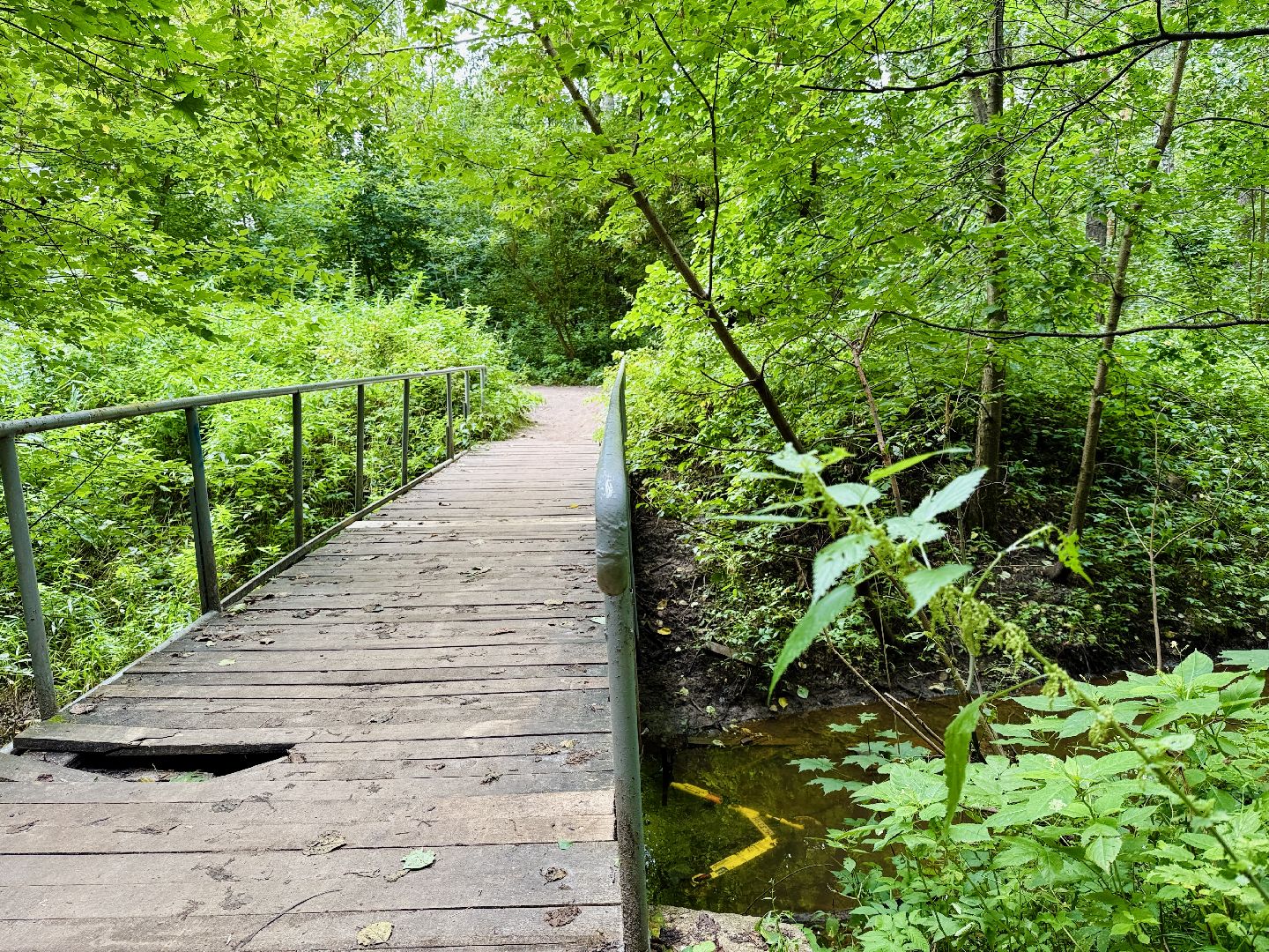 раменское, раменский парк, Усадьба Раменское, объект культурного наследия, Восьмидорожье, Зверинец,