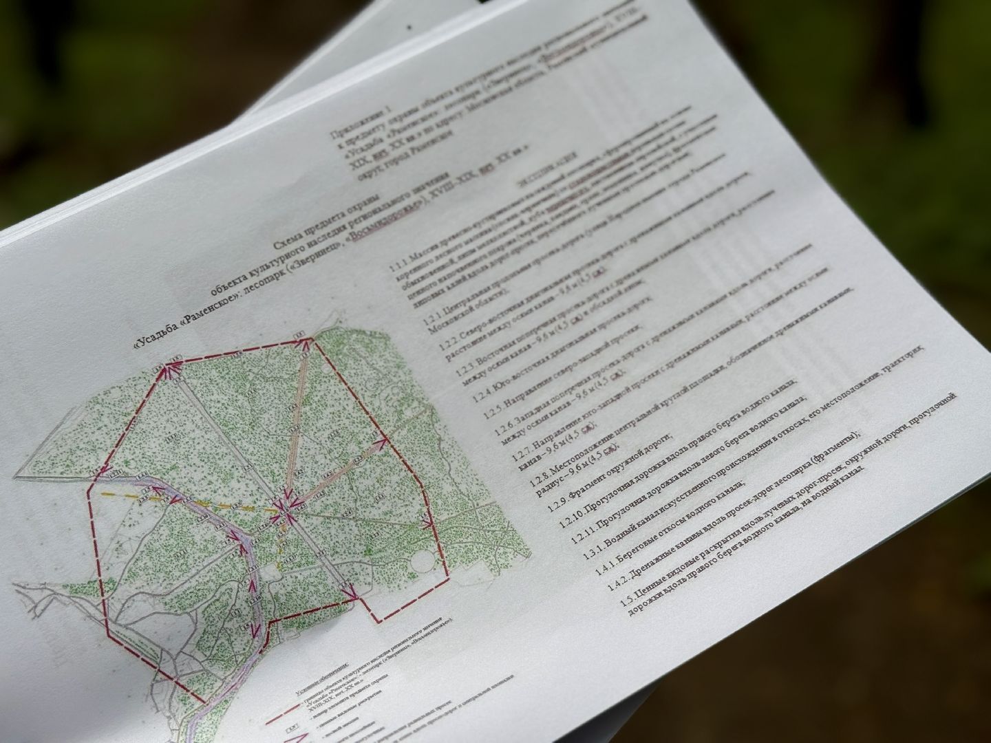 раменское, раменский парк, Усадьба Раменское, объект культурного наследия, Восьмидорожье, Зверинец,