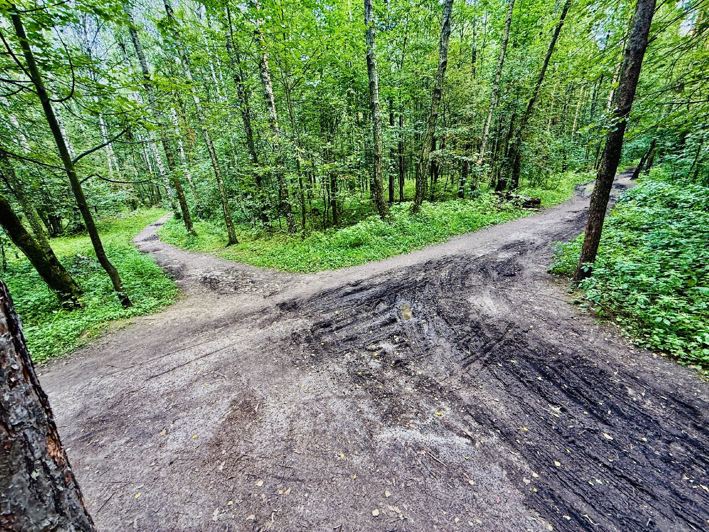 раменское, раменский парк, Усадьба Раменское, объект культурного наследия, Восьмидорожье, Зверинец,