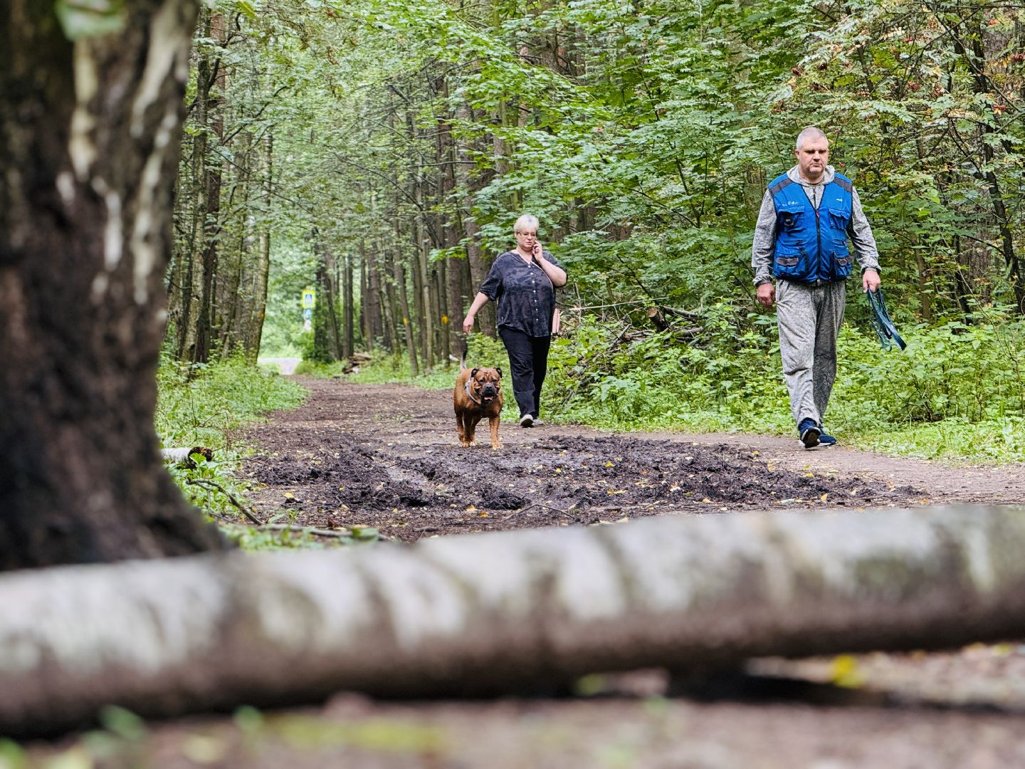 раменское, раменский парк, Усадьба Раменское, объект культурного наследия, Восьмидорожье, Зверинец,