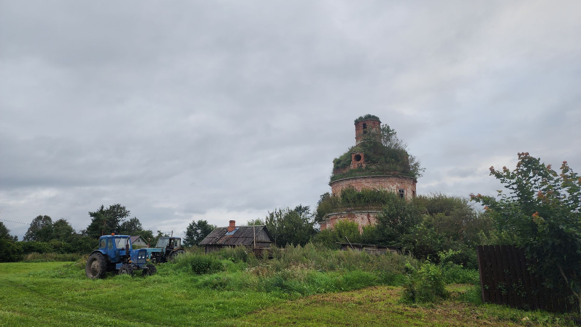 волоколамск, карачарово, борьба с борщевиком, выездная администрация,