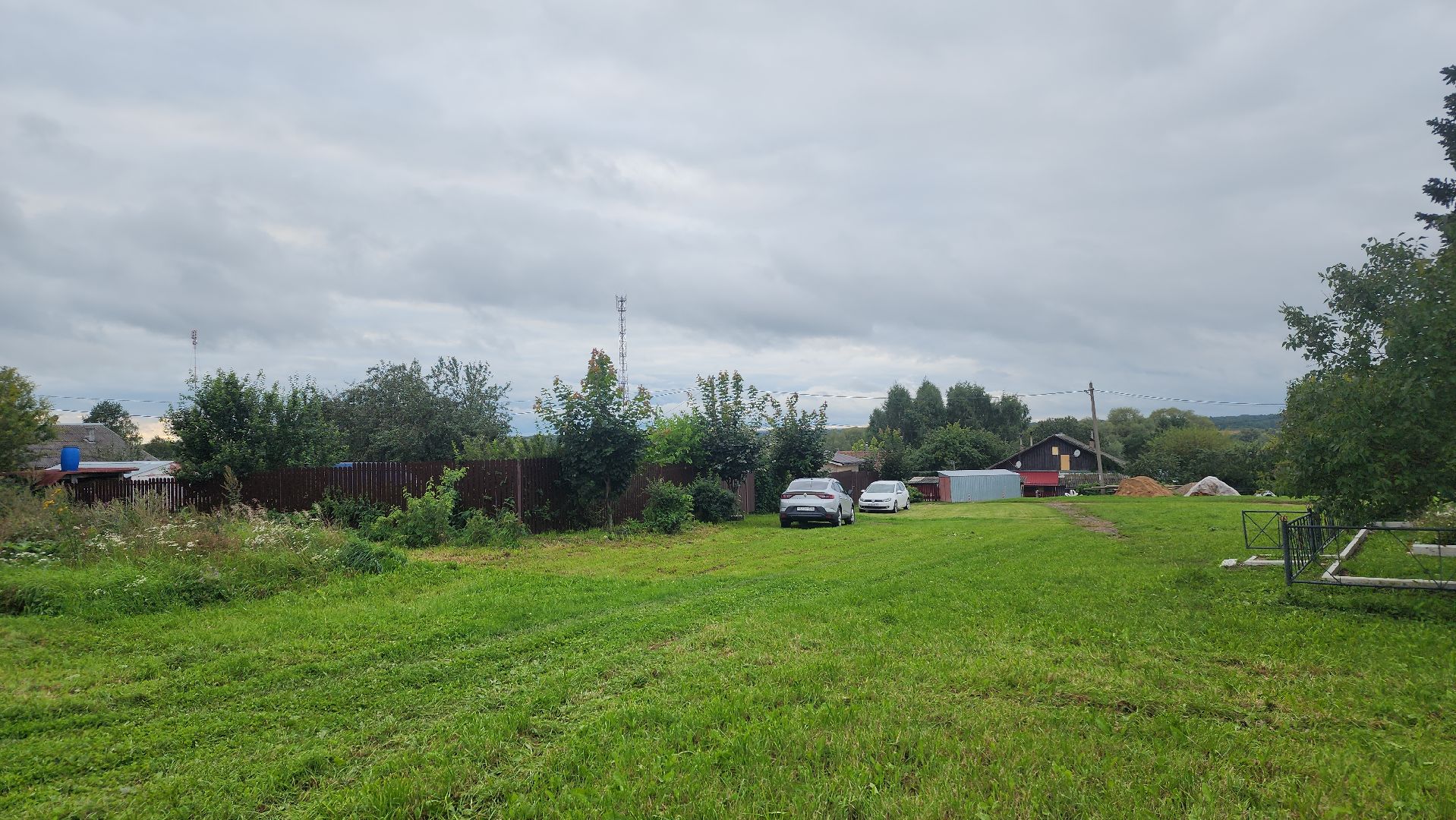 волоколамск, карачарово, борьба с борщевиком, выездная администрация,