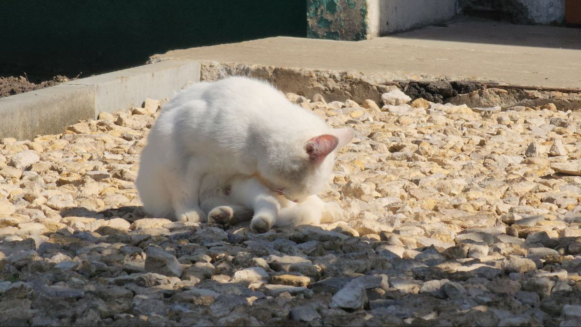 луховицы, благоустройство, красная пойма,