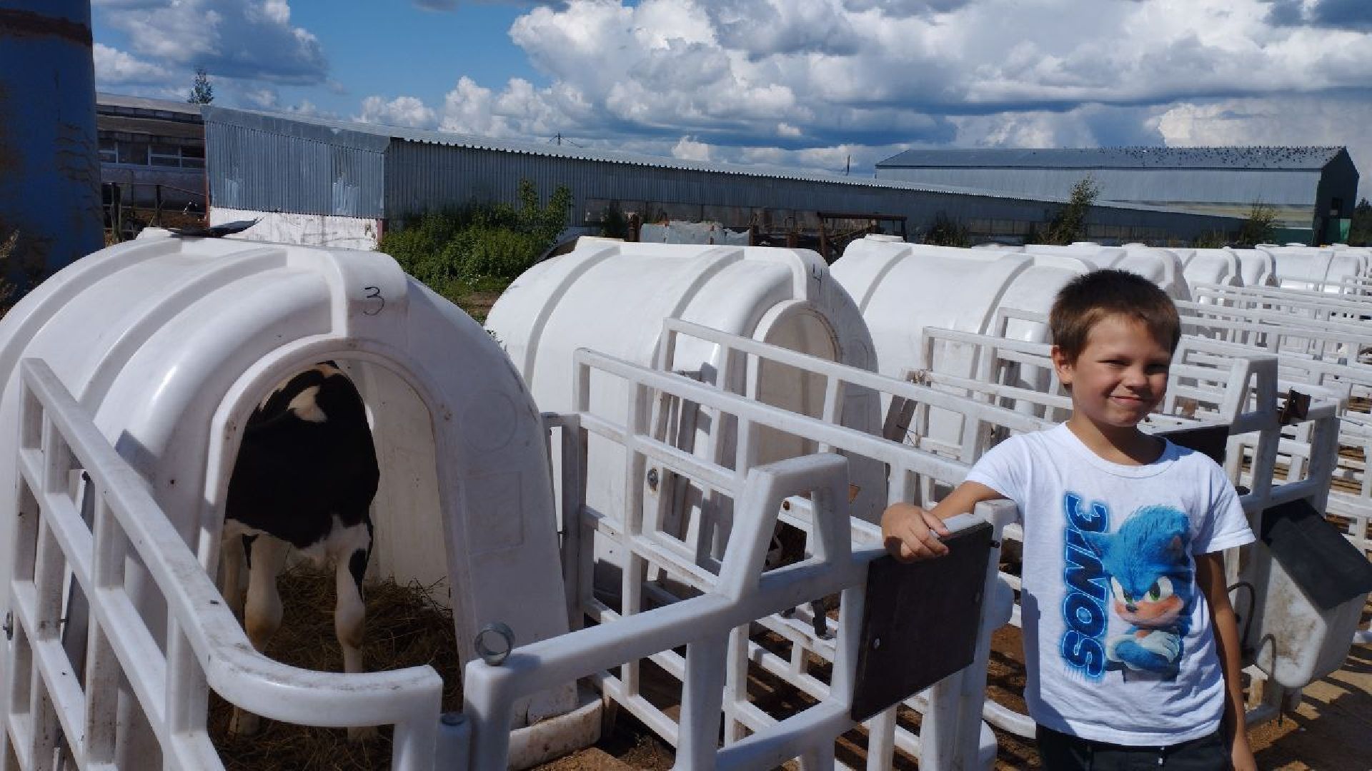 ивантеевка, ферма цветковых, экскурсия, дети с особенностями развития, центр социального обслуживания, животные на ферме,социализация детей,коровы,
