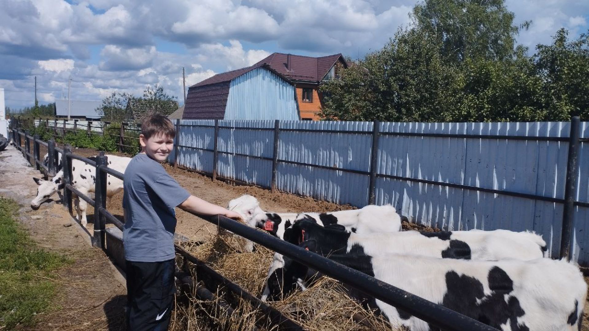ивантеевка, ферма цветковых, экскурсия, дети с особенностями развития, центр социального обслуживания, животные на ферме,социализация детей,коровы,