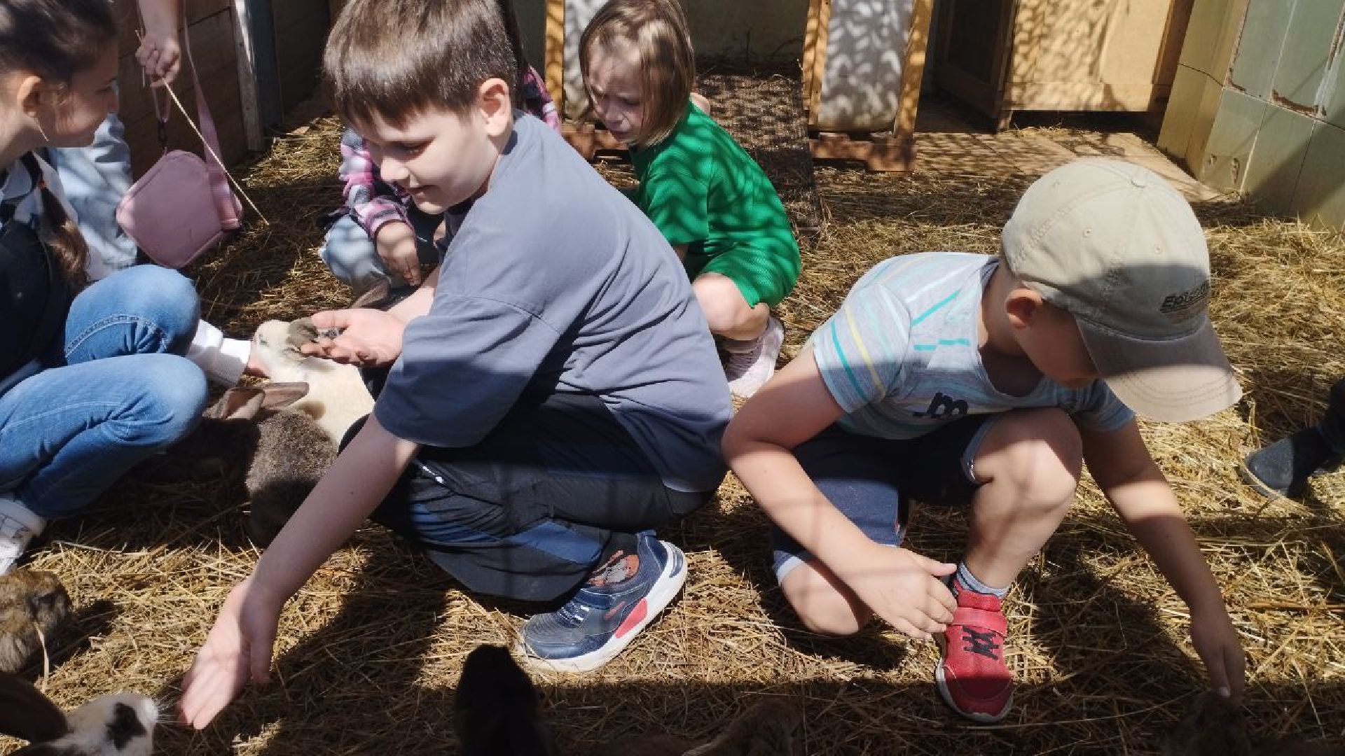 ивантеевка, ферма цветковых, экскурсия, дети с особенностями развития, центр социального обслуживания, животные на ферме,социализация детей,коровы,